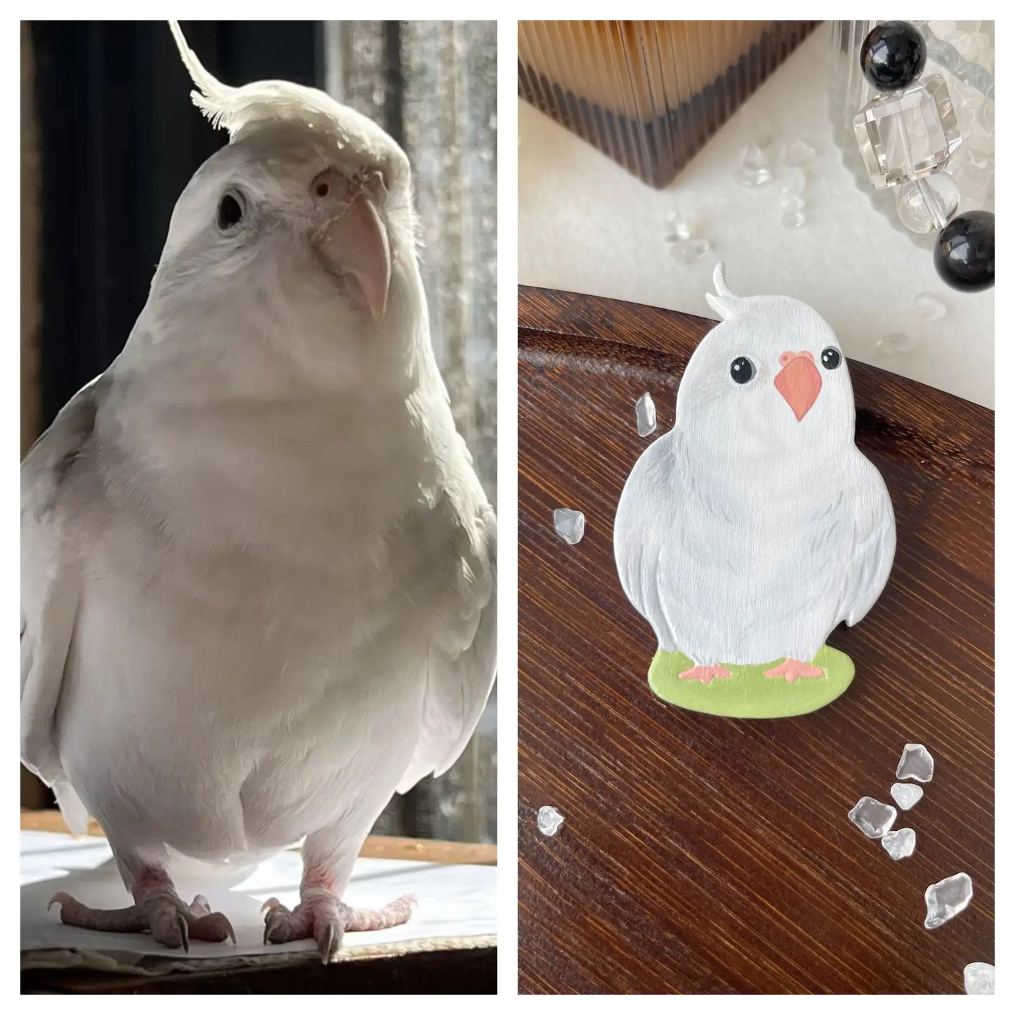 Custom Bird Portrait